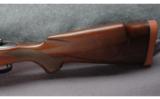 Winchester Model 70 Rifle .416 - 7 of 7