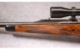 Winchester Model 70 Safari Davenport in 416 Rem - 6 of 9