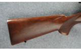 Winchester Pre-64 Model 70 Rifle .30-06 - 6 of 7