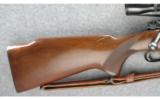 Winchester Model 70 Rifle .220 Swift - 5 of 6