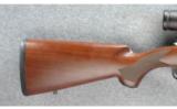 Winchester Model 70 Rifle .264 Win Mag - 6 of 7