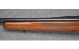 D.W.M., Mauser Modelo Argentino 1909, .257 IMP - 6 of 7