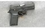 Sig Sauer Model P250 Pistol 9mm - 1 of 2
