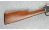 Winchester Model 1906 Rifle .22 - 6 of 7