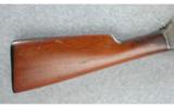 Winchester Model 1905 SL Rifle .35 - 6 of 7