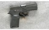 Sig Sauer Model P250 Pistol .45 ACP - 1 of 2