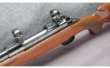 Winchester Model 70
Classic Sporter Rifle .30-06 - 4 of 7