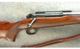 Winchester Model 70 Rifle .243 Win - 2 of 7