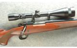Winchester Model 70 Sporter Varmint Rifle .223 - 2 of 7