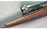 Winchester Model 70 Sporter Varmint Rifle .223 - 6 of 7