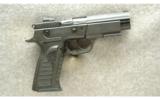 Tanfoglio Witness Model P Pistol .40 S&W - 1 of 2