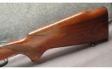 Winchester Pre 64 Model 70 Rifle .243 Win - 7 of 8
