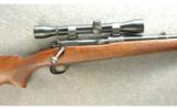 Winchester Pre-64 Model 70 Rifle .270 Win - 2 of 7