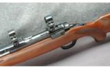 Ruger M77 Rifle .243 Win - 3 of 7
