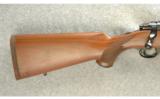 Ruger Model M77 Rifle .25-06 - 6 of 7