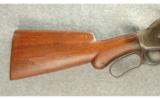 Winchester Model 1887 Shotgun 10 GA - 7 of 8