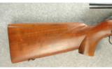 Winchester Model 52 Rifle .22 LR - 6 of 8
