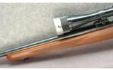 Ruger ~ M77 ~ .243 Win - 4 of 7