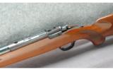 Ruger ~ M77 ~ .243 Win - 4 of 7