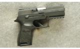 Sig Sauer Model P250 Pistol .45 Auto - 1 of 2