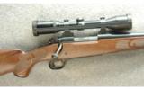 Winchester 2008 Limited Edition Model 70 Rifle .300 WSM - 2 of 7