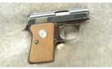 Colt ~ Automatic Pistol ~ .25 Auto - 1 of 2