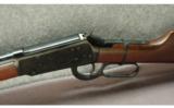 Winchester ~ 94 NRA Musket ~ .30-30 - 4 of 9