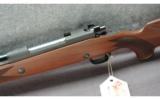 Winchester ~ 70 ~ .375 H&H - 4 of 9