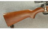 Remington ~ 722 ~ .300 Savage - 6 of 9