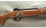 Winchester ~ 70 Custom Express ~ .375 H&H - 3 of 9