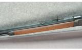 Winchester ~ 1892 ~ .25-20 WCF - 7 of 9