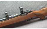 Ruger ~ M77 Mark II ~ .243 Win. - 3 of 9