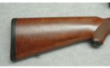 Ruger ~ M77 ~ .243 Win. - 2 of 9