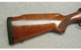Winchester ~ 70 Custom ~ .375 H&H - 2 of 9