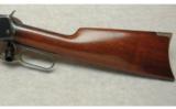 Winchester ~ 1894 ~ .25-35 WCF - 9 of 9