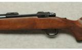 Ruger ~ M77 ~ .308 Win. - 8 of 9