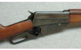 Winchester ~ 1895 SRC ~ .30-03 Govt. - 3 of 9