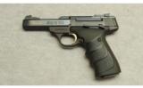 Browning ~ Buck Mark ~ .22 LR - 2 of 2
