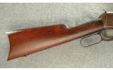 Winchester ~ 1894 ~ .25-35 WCF - 6 of 9
