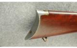 Winchester ~ 1894 ~ .25-35 WCF - 9 of 9