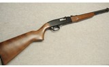 Winchester ~ 190 ~ .22 LR - 1 of 10