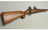 Ruger ~ M77 Varmint ~ .25-06 - 1 of 10