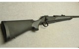 Remington ~ 700 Dangerous Game ~ .375 H&H Mag. - 1 of 10