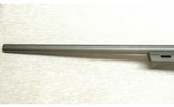 Remington ~ SPS Varmint ~ .204 Ruger - 5 of 10