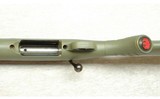 Ruger ~ American ~ .243 Win. - 7 of 10