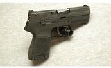Sig Sauer ~ P250 ~ 9mm - 1 of 2