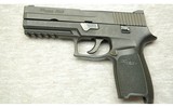 Sig Sauer ~ P250 ~ .40 S&W - 2 of 2