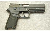 Sig Sauer ~ P250 ~ .40 S&W - 1 of 2