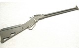 Springfield Armory _ M6 Scout ~ .22 LR / .410