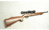 Ruger ~ 10/22 ~ .22 Long Rifle - 1 of 10